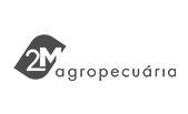 2M